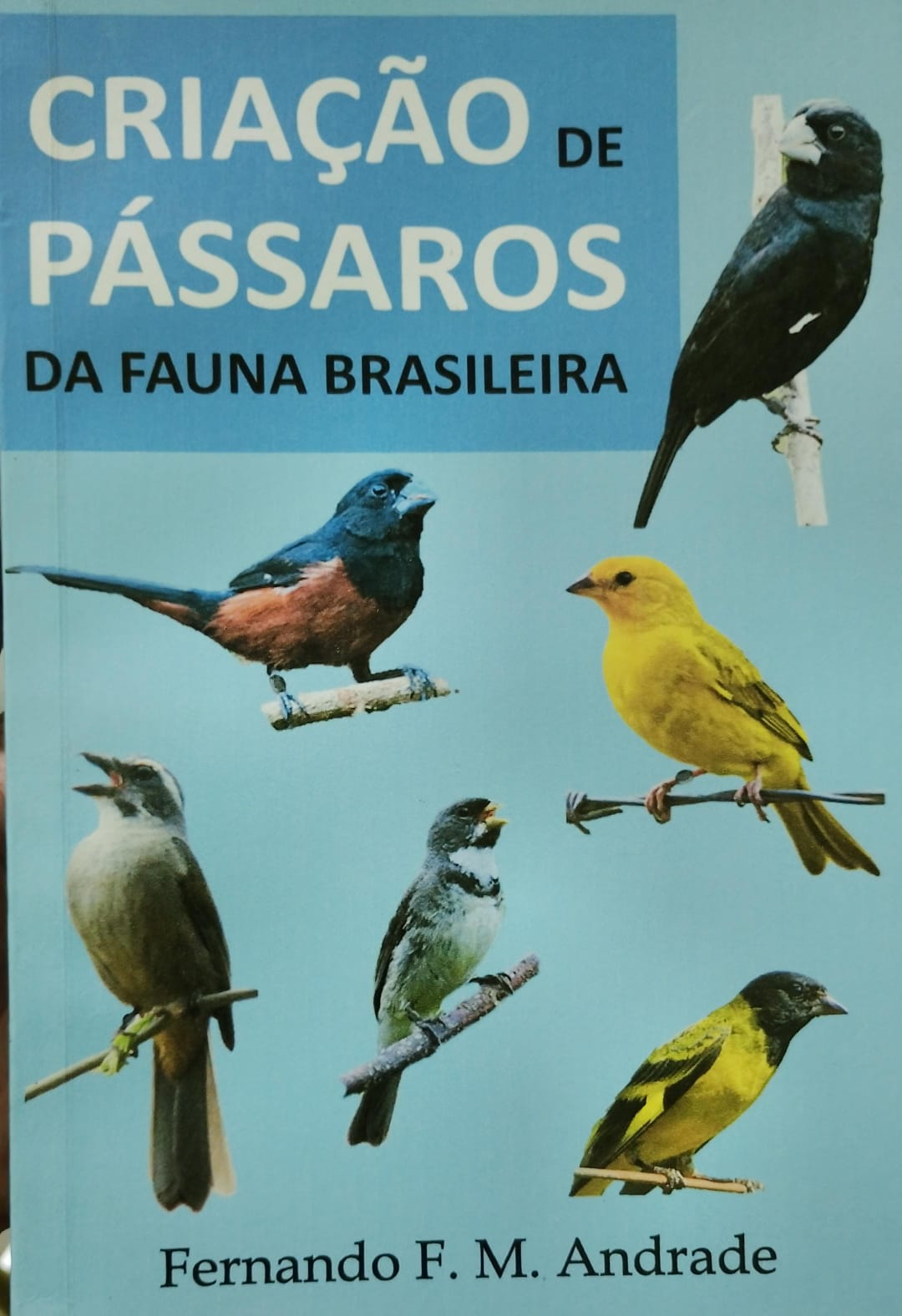 Capa