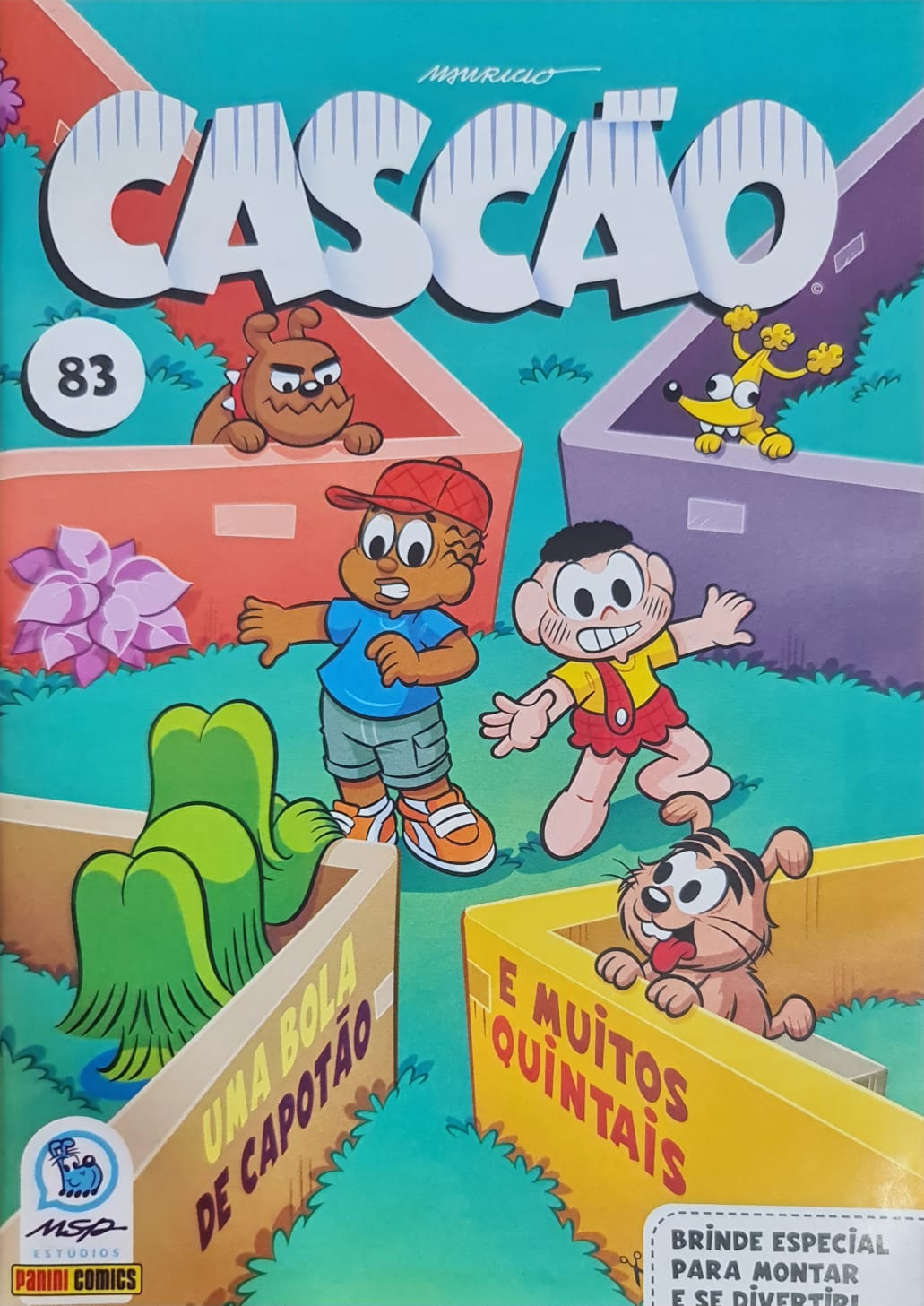 Capa