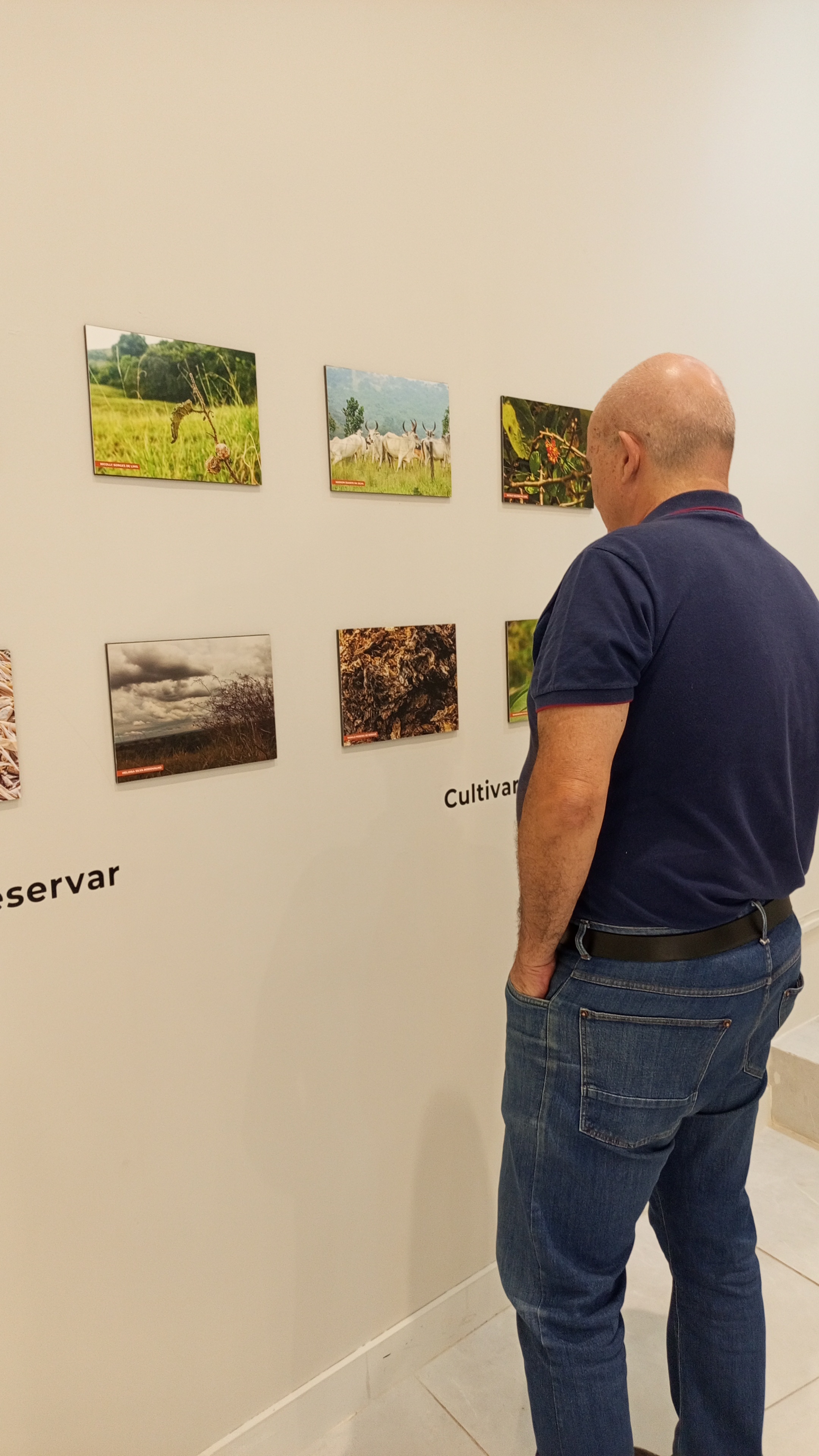 Lançamento do livro Cerrado Imaterial